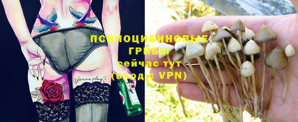 гашишное масло Заводоуковск