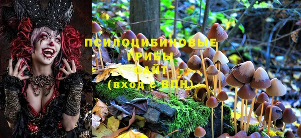 гашишное масло Заводоуковск