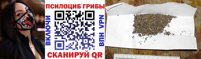Купить закладки  Ужур  Галлюциногенные грибы ЛСД 
